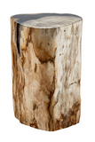 Hand-Polished Petrified Wood Stool | Andrew Martin Log