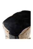 Hand-Polished Petrified Wood Stool | Andrew Martin Log