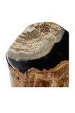 Hand-Polished Petrified Wood Stool | Andrew Martin Log