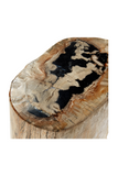 Hand-Polished Petrified Wood Stool | Andrew Martin Log