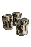 Hand-Polished Petrified Wood Stool | Andrew Martin Log