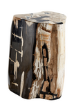 Hand-Polished Petrified Wood Stool | Andrew Martin Log