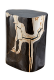 Hand-Polished Petrified Wood Stool | Andrew Martin Log